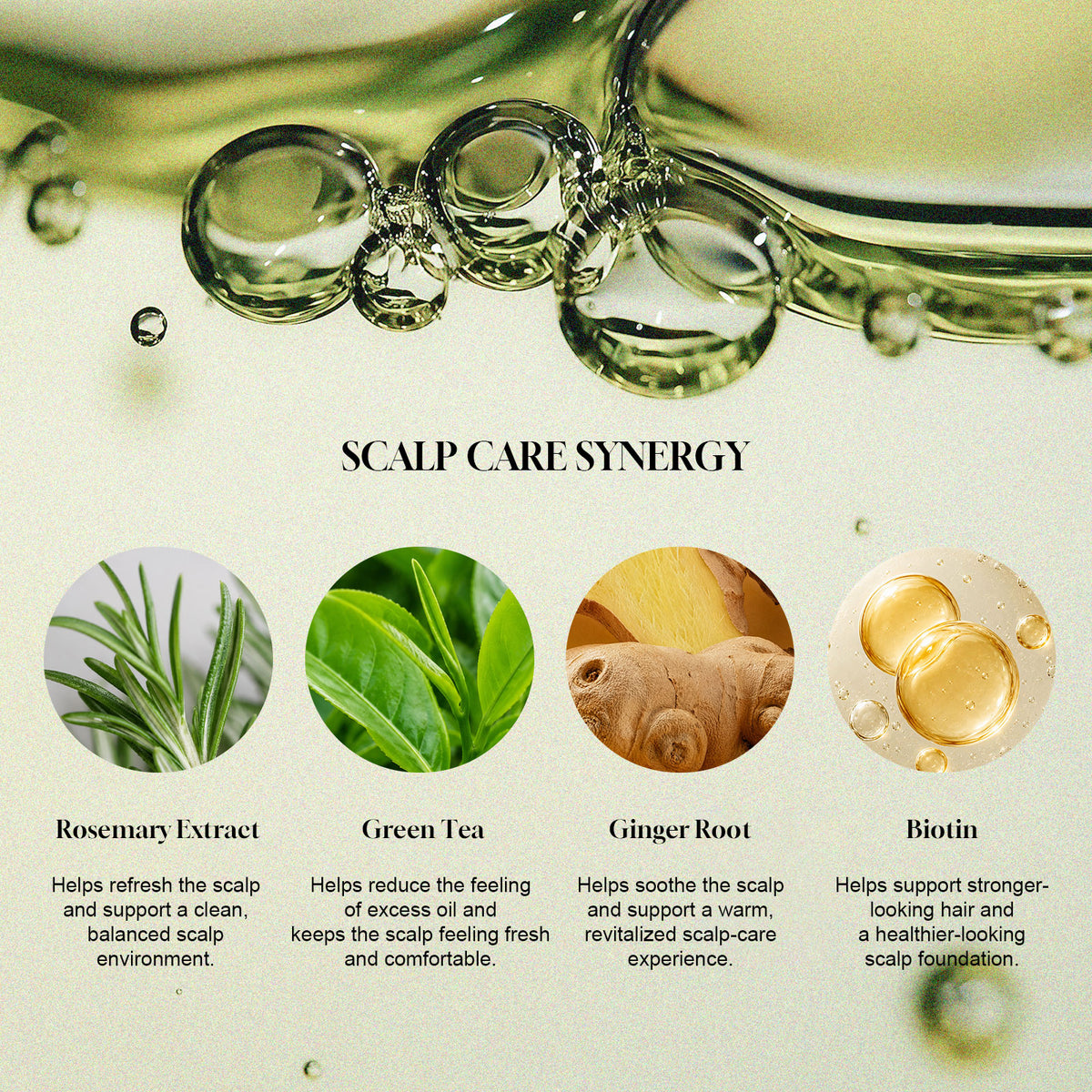 Scalp care ingredient infographic with rosemary extract, green tea, ginger root, and biotin